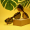 Accessoires